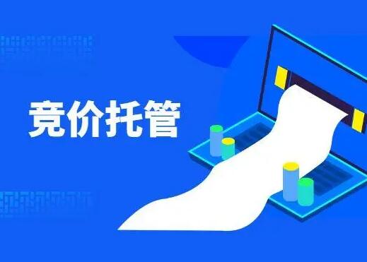 百度、、、360、、、抖音等竞价运营