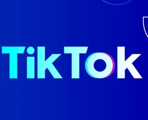 Google&Tiktok外贸营销服务